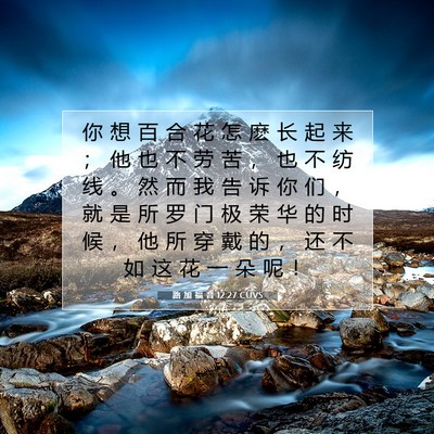 Picture 07 - 路 加 福 音 12:27 CUVS - 你 想 百 合 花 怎 麽 长 起 来 ； 他 - Bible Verse Picture