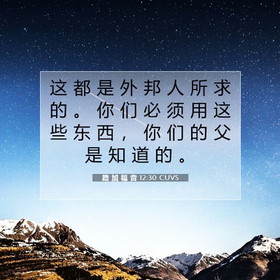 Picture 07 - 路 加 福 音 12:30 CUVS - 这 都 是 外 邦 人 所 求 的 。 你 们 - Bible Verse Picture