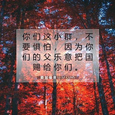 Picture 07 - 路 加 福 音 12:32 CUVS - 你 们 这 小 群 ， 不 要 惧 怕 ， 因 - Bible Verse Picture