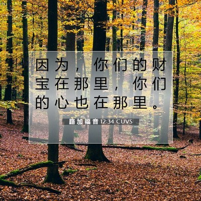 Picture 07 - 路 加 福 音 12:34 CUVS - 因 为 ， 你 们 的 财 宝 在 那 里 ， - Bible Verse Picture