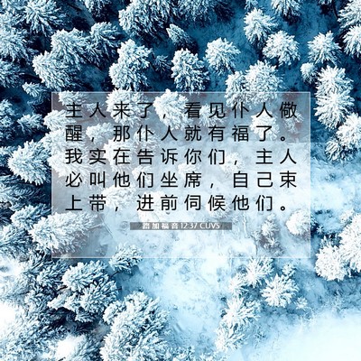 Picture 07 - 路 加 福 音 12:37 CUVS - 主 人 来 了 ， 看 见 仆 人 儆 醒 ， - Bible Verse Picture