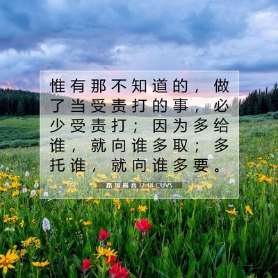 Picture 07 - 路 加 福 音 12:48 CUVS - 惟 有 那 不 知 道 的 ， 做 了 当 受 - Bible Verse Picture