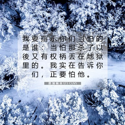 Picture 07 - 路 加 福 音 12:5 CUVS - 我 要 指 示 你 们 当 怕 的 是 谁 ： - Bible Verse Picture