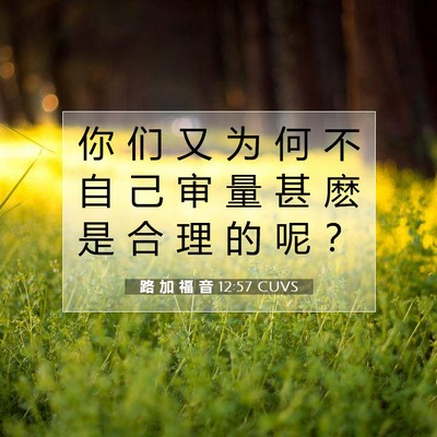 Picture 07 - 路 加 福 音 12:57 CUVS - 你 们 又 为 何 不 自 己 审 量 甚 麽 - Bible Verse Picture