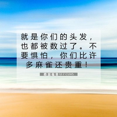 Picture 07 - 路 加 福 音 12:7 CUVS - 就 是 你 们 的 头 发 ， 也 都 被 数 - Bible Verse Picture