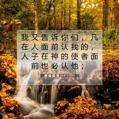 Picture 07 - 路 加 福 音 12:8 CUVS - 我 又 告 诉 你 们 ， 凡 在 人 面 前 - Bible Verse Picture