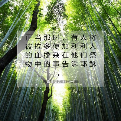 Picture 07 - 路 加 福 音 13:1 CUVS - 正 当 那 时 ， 有 人 将 彼 拉 多 使 - Bible Verse Picture