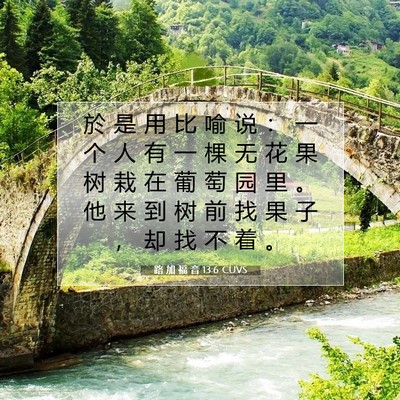 Picture 07 - 路 加 福 音 13:6 CUVS - 於 是 用 比 喻 说 ： 一 个 人 有 一 - Bible Verse Picture