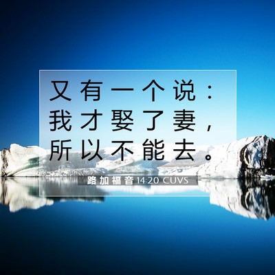 Picture 07 - 路 加 福 音 14:20 CUVS - 又 有 一 个 说 ： 我 才 娶 了 妻 ， - Bible Verse Picture
