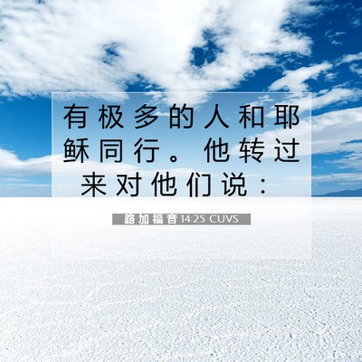 Picture 07 - 路 加 福 音 14:25 CUVS - 有 极 多 的 人 和 耶 稣 同 行 。 他 - Bible Verse Picture