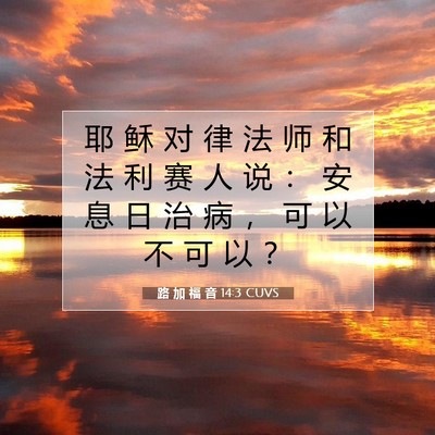 Picture 07 - 路 加 福 音 14:3 CUVS - 耶 稣 对 律 法 师 和 法 利 赛 人 说 - Bible Verse Picture