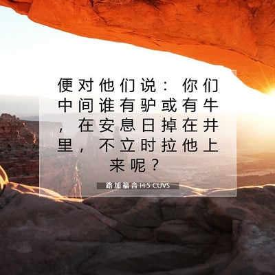 Picture 07 - 路 加 福 音 14:5 CUVS - 便 对 他 们 说 ： 你 们 中 间 谁 有 - Bible Verse Picture