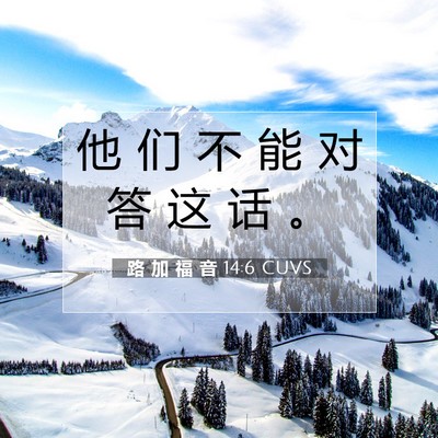 Picture 07 - 路 加 福 音 14:6 CUVS - 他 们 不 能 对 答 这 话 - Bible Verse Picture