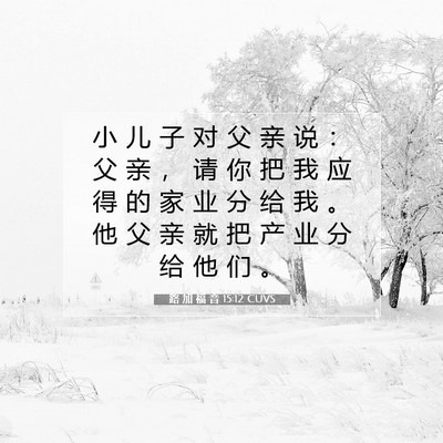 Picture 07 - 路 加 福 音 15:12 CUVS - 小 儿 子 对 父 亲 说 ： 父 亲 ， 请 - Bible Verse Picture
