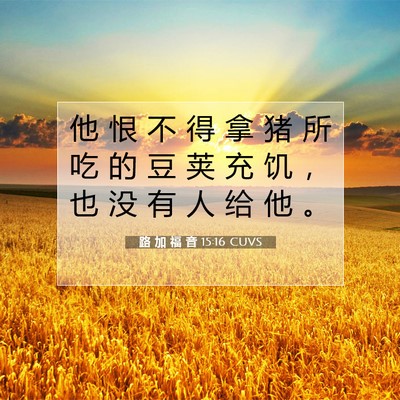 Picture 07 - 路 加 福 音 15:16 CUVS - 他 恨 不 得 拿 猪 所 吃 的 豆 荚 充 - Bible Verse Picture