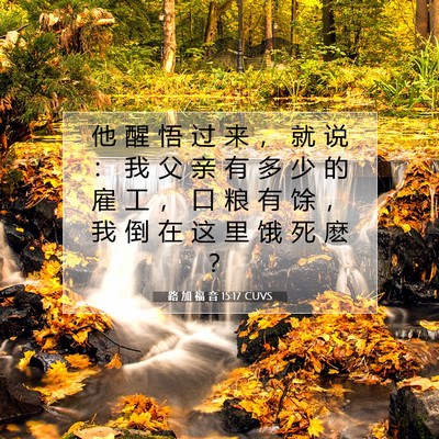 Picture 07 - 路 加 福 音 15:17 CUVS - 他 醒 悟 过 来 ， 就 说 ： 我 父 亲 - Bible Verse Picture