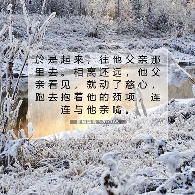 Picture 07 - 路 加 福 音 15:20 CUVS - 於 是 起 来 ， 往 他 父 亲 那 里 去 - Bible Verse Picture