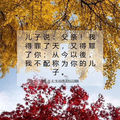 Picture 07 - 路 加 福 音 15:21 CUVS - 儿 子 说 ： 父 亲 ！ 我 得 罪 了 天 - Bible Verse Picture