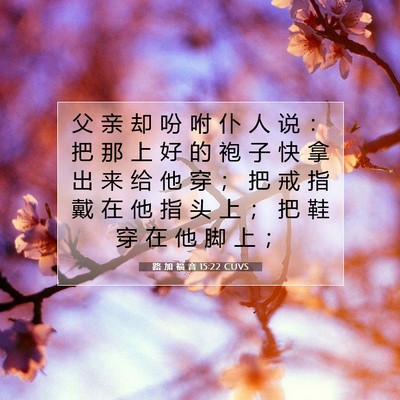 Picture 07 - 路 加 福 音 15:22 CUVS - 父 亲 却 吩 咐 仆 人 说 ： 把 那 上 - Bible Verse Picture