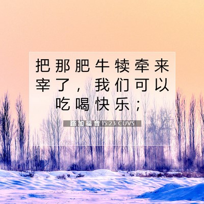 Picture 07 - 路 加 福 音 15:23 CUVS - 把 那 肥 牛 犊 牵 来 宰 了 ， 我 们 - Bible Verse Picture