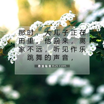 Picture 07 - 路 加 福 音 15:25 CUVS - 那 时 ， 大 儿 子 正 在 田 里 。 他 - Bible Verse Picture