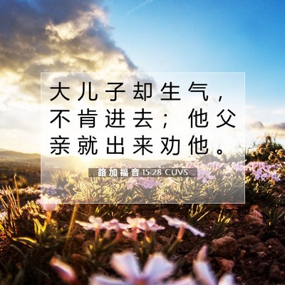 Picture 07 - 路 加 福 音 15:28 CUVS - 大 儿 子 却 生 气 ， 不 肯 进 去 ； - Bible Verse Picture