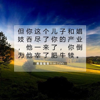 Picture 07 - 路 加 福 音 15:30 CUVS - 但 你 这 个 儿 子 和 娼 妓 吞 尽 了 - Bible Verse Picture