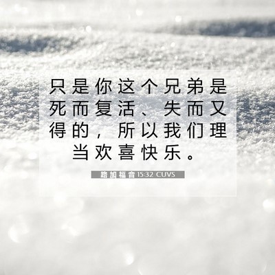 Picture 07 - 路 加 福 音 15:32 CUVS - 只 是 你 这 个 兄 弟 是 死 而 复 活 - Bible Verse Picture