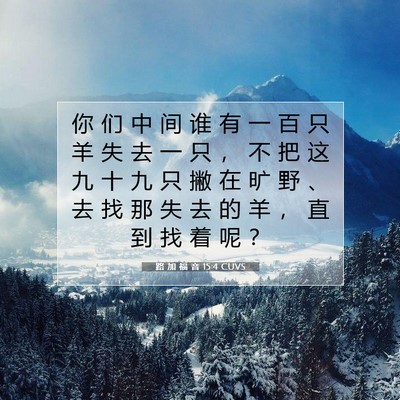 Picture 07 - 路 加 福 音 15:4 CUVS - 你 们 中 间 谁 有 一 百 只 羊 失 去 - Bible Verse Picture