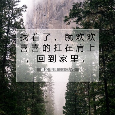 Picture 07 - 路 加 福 音 15:5 CUVS - 找 着 了 ， 就 欢 欢 喜 喜 的 扛 在 - Bible Verse Picture