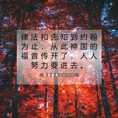 Picture 07 - 路 加 福 音 16:16 CUVS - 律 法 和 先 知 到 约 翰 为 止 ， 从 - Bible Verse Picture