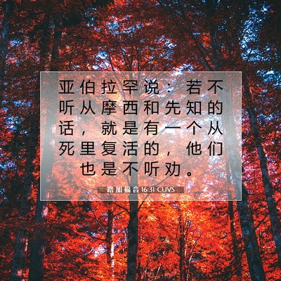 Picture 07 - 路 加 福 音 16:31 CUVS - 亚 伯 拉 罕 说 ： 若 不 听 从 摩 西 - Bible Verse Picture