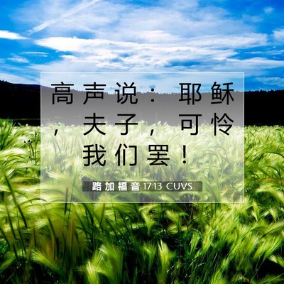 Picture 07 - 路 加 福 音 17:13 CUVS - 高 声 说 ： 耶 稣 ， 夫 子 ， 可 怜 - Bible Verse Picture