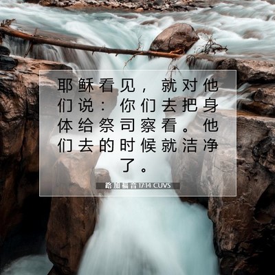 Picture 07 - 路 加 福 音 17:14 CUVS - 耶 稣 看 见 ， 就 对 他 们 说 ： 你 - Bible Verse Picture