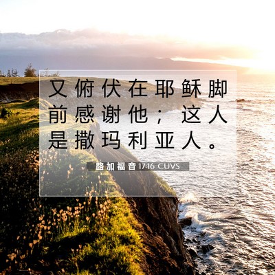 Picture 07 - 路 加 福 音 17:16 CUVS - 又 俯 伏 在 耶 稣 脚 前 感 谢 他 ； - Bible Verse Picture