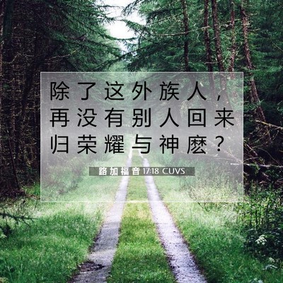 Picture 07 - 路 加 福 音 17:18 CUVS - 除 了 这 外 族 人 ， 再 没 有 别 人 - Bible Verse Picture