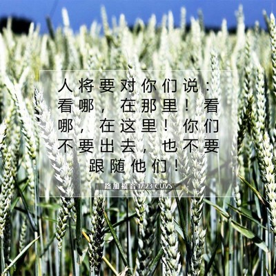 Picture 07 - 路 加 福 音 17:23 CUVS - 人 将 要 对 你 们 说 ： 看 哪 ， 在 - Bible Verse Picture