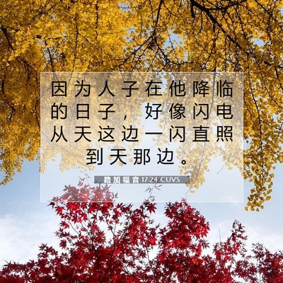 Picture 07 - 路 加 福 音 17:24 CUVS - 因 为 人 子 在 他 降 临 的 日 子 ， - Bible Verse Picture