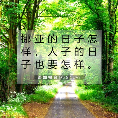 Picture 07 - 路 加 福 音 17:26 CUVS - 挪 亚 的 日 子 怎 样 ， 人 子 的 日 - Bible Verse Picture
