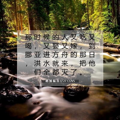 Picture 07 - 路 加 福 音 17:27 CUVS - 那 时 候 的 人 又 吃 又 喝 ， 又 娶 - Bible Verse Picture