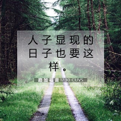 Picture 07 - 路 加 福 音 17:30 CUVS - 人 子 显 现 的 日 子 也 要 这 样 - Bible Verse Picture