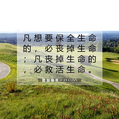 Picture 07 - 路 加 福 音 17:33 CUVS - 凡 想 要 保 全 生 命 的 ， 必 丧 掉 - Bible Verse Picture