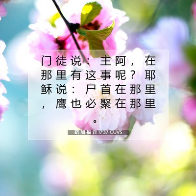 Picture 07 - 路 加 福 音 17:37 CUVS - 门 徒 说 ： 主 阿 ， 在 那 里 有 这 - Bible Verse Picture