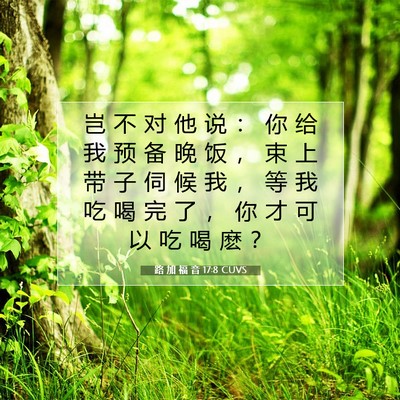 Picture 07 - 路 加 福 音 17:8 CUVS - 岂 不 对 他 说 ： 你 给 我 预 备 晚 - Bible Verse Picture