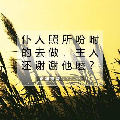 Picture 07 - 路 加 福 音 17:9 CUVS - 仆 人 照 所 吩 咐 的 去 做 ， 主 人 - Bible Verse Picture