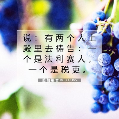 Picture 07 - 路 加 福 音 18:10 CUVS - 说 ： 有 两 个 人 上 殿 里 去 祷 告 - Bible Verse Picture