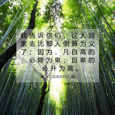Picture 07 - 路 加 福 音 18:14 CUVS - 我 告 诉 你 们 ， 这 人 回 家 去 比 - Bible Verse Picture