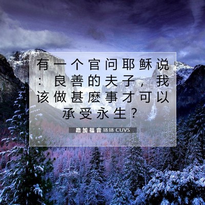 Picture 07 - 路 加 福 音 18:18 CUVS - 有 一 个 官 问 耶 稣 说 ： 良 善 的 - Bible Verse Picture