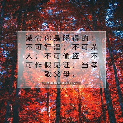 Picture 07 - 路 加 福 音 18:20 CUVS - 诫 命 你 是 晓 得 的 ： 不 可 奸 淫 - Bible Verse Picture