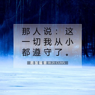 Picture 07 - 路 加 福 音 18:21 CUVS - 那 人 说 ： 这 一 切 我 从 小 都 遵 - Bible Verse Picture